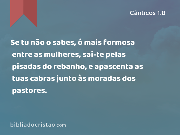 Se tu não o sabes, ó mais formosa entre as mulheres, sai-te pelas pisadas do rebanho, e apascenta as tuas cabras junto às moradas dos pastores. - Cânticos 1:8