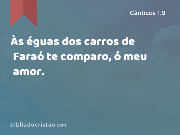 Às éguas dos carros de Faraó te comparo, ó meu amor. - Cânticos 1:9