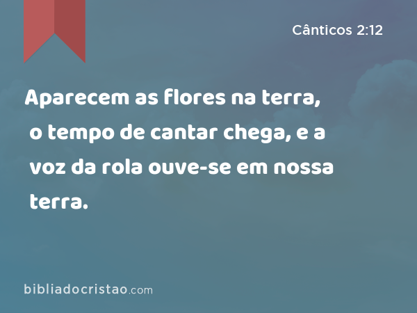 Aparecem as flores na terra, o tempo de cantar chega, e a voz da rola ouve-se em nossa terra. - Cânticos 2:12