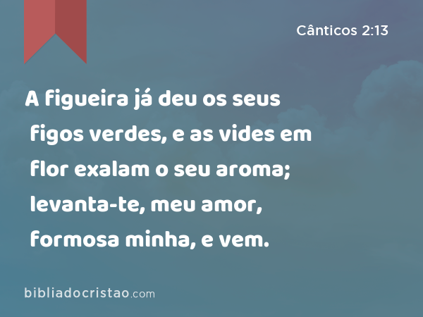 A figueira já deu os seus figos verdes, e as vides em flor exalam o seu aroma; levanta-te, meu amor, formosa minha, e vem. - Cânticos 2:13