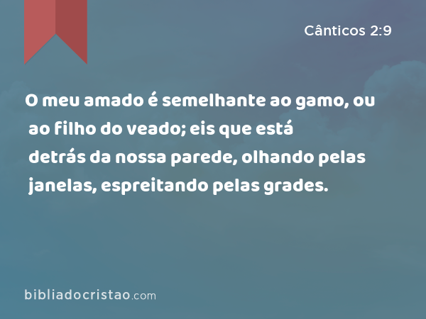 O meu amado é semelhante ao gamo, ou ao filho do veado; eis que está detrás da nossa parede, olhando pelas janelas, espreitando pelas grades. - Cânticos 2:9