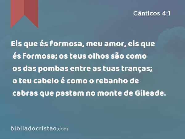 Eis que és formosa, meu amor, eis que és formosa; os teus olhos são como os das pombas entre as tuas tranças; o teu cabelo é como o rebanho de cabras que pastam no monte de Gileade. - Cânticos 4:1