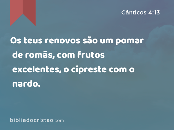 Os teus renovos são um pomar de romãs, com frutos excelentes, o cipreste com o nardo. - Cânticos 4:13