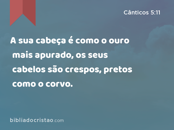 A sua cabeça é como o ouro mais apurado, os seus cabelos são crespos, pretos como o corvo. - Cânticos 5:11