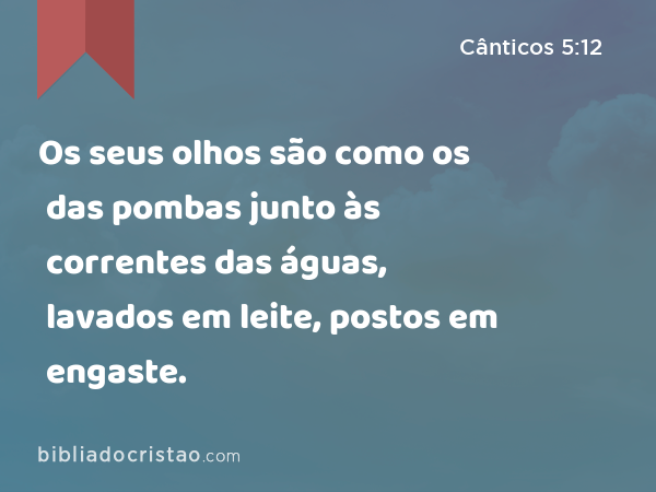 Os seus olhos são como os das pombas junto às correntes das águas, lavados em leite, postos em engaste. - Cânticos 5:12