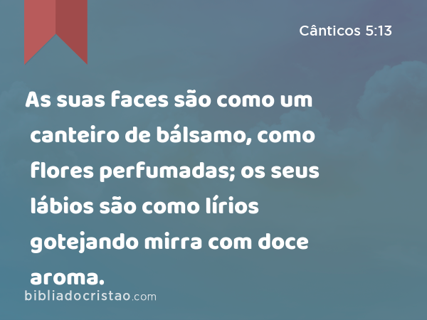 As suas faces são como um canteiro de bálsamo, como flores perfumadas; os seus lábios são como lírios gotejando mirra com doce aroma. - Cânticos 5:13