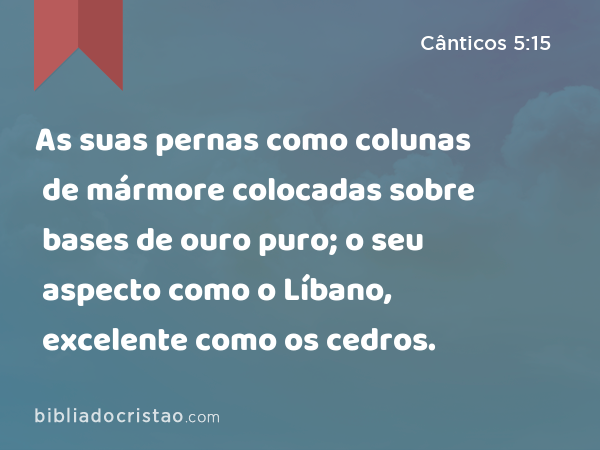 As suas pernas como colunas de mármore colocadas sobre bases de ouro puro; o seu aspecto como o Líbano, excelente como os cedros. - Cânticos 5:15