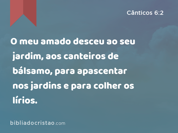 O meu amado desceu ao seu jardim, aos canteiros de bálsamo, para apascentar nos jardins e para colher os lírios. - Cânticos 6:2