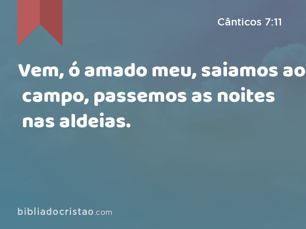 Vem, ó amado meu, saiamos ao campo, passemos as noites nas aldeias. - Cânticos 7:11