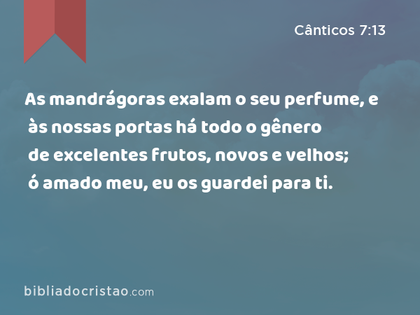 As mandrágoras exalam o seu perfume, e às nossas portas há todo o gênero de excelentes frutos, novos e velhos; ó amado meu, eu os guardei para ti. - Cânticos 7:13