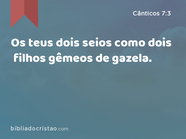 Os teus dois seios como dois filhos gêmeos de gazela. - Cânticos 7:3