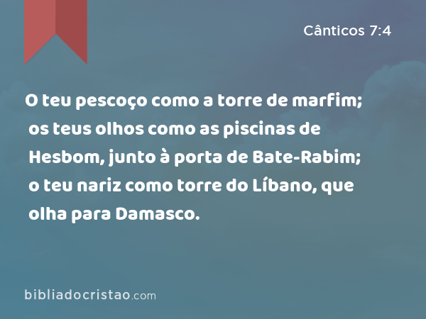 O teu pescoço como a torre de marfim; os teus olhos como as piscinas de Hesbom, junto à porta de Bate-Rabim; o teu nariz como torre do Líbano, que olha para Damasco. - Cânticos 7:4