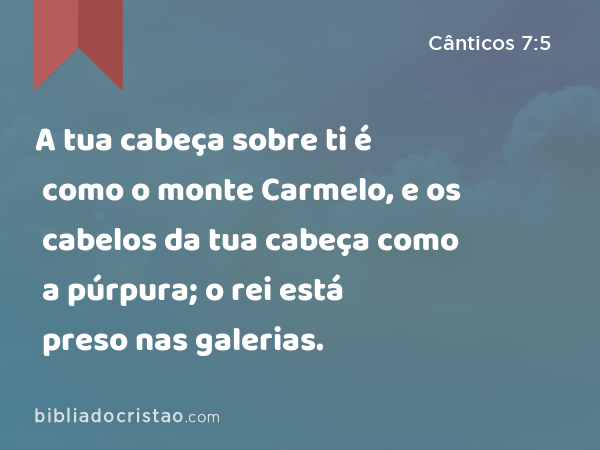 A tua cabeça sobre ti é como o monte Carmelo, e os cabelos da tua cabeça como a púrpura; o rei está preso nas galerias. - Cânticos 7:5