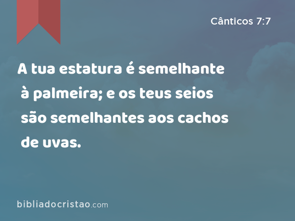 A tua estatura é semelhante à palmeira; e os teus seios são semelhantes aos cachos de uvas. - Cânticos 7:7