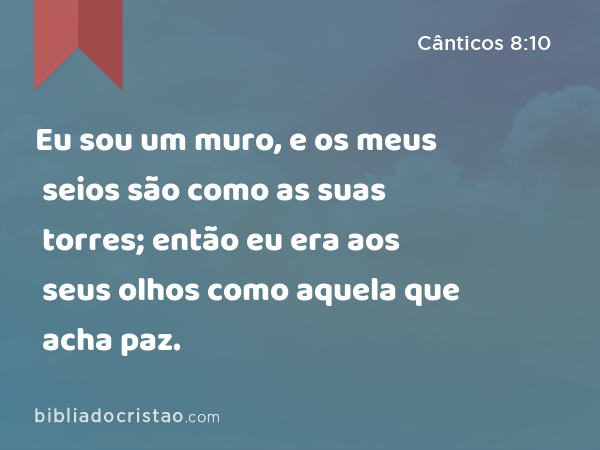 Eu sou um muro, e os meus seios são como as suas torres; então eu era aos seus olhos como aquela que acha paz. - Cânticos 8:10