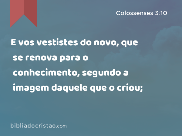 E vos vestistes do novo, que se renova para o conhecimento, segundo a imagem daquele que o criou; - Colossenses 3:10