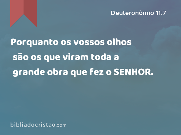 Porquanto os vossos olhos são os que viram toda a grande obra que fez o SENHOR. - Deuteronômio 11:7