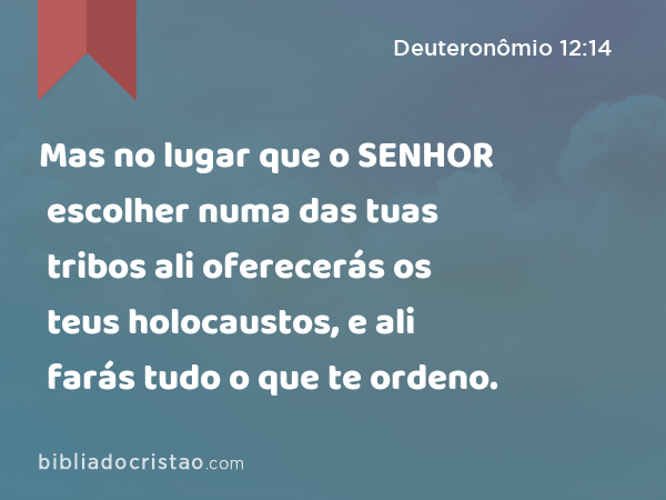 Mas no lugar que o SENHOR escolher numa das tuas tribos ali oferecerás os teus holocaustos, e ali farás tudo o que te ordeno. - Deuteronômio 12:14