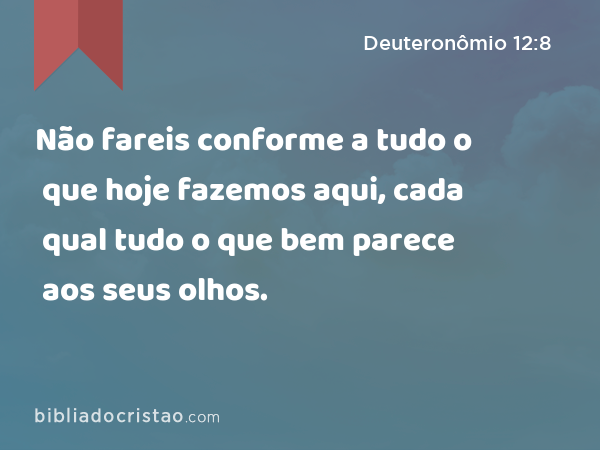 Não fareis conforme a tudo o que hoje fazemos aqui, cada qual tudo o que bem parece aos seus olhos. - Deuteronômio 12:8