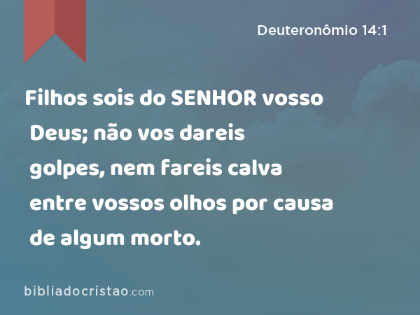 Filhos sois do SENHOR vosso Deus; não vos dareis golpes, nem fareis calva entre vossos olhos por causa de algum morto. - Deuteronômio 14:1