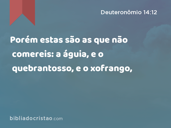 Porém estas são as que não comereis: a águia, e o quebrantosso, e o xofrango, - Deuteronômio 14:12