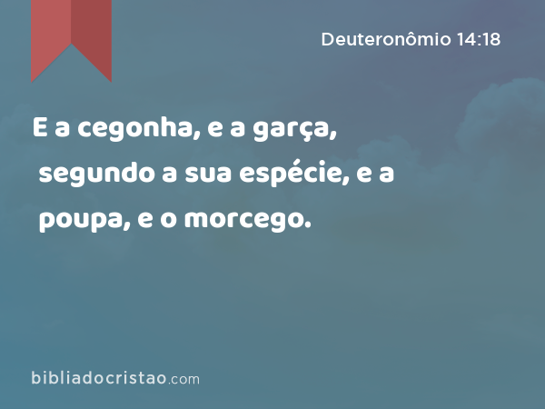 E a cegonha, e a garça, segundo a sua espécie, e a poupa, e o morcego. - Deuteronômio 14:18