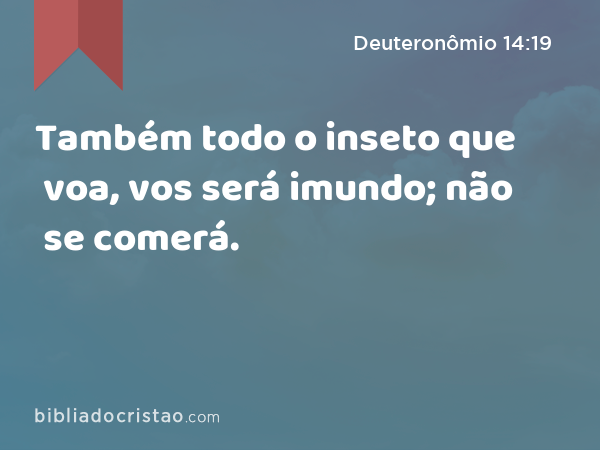 Também todo o inseto que voa, vos será imundo; não se comerá. - Deuteronômio 14:19