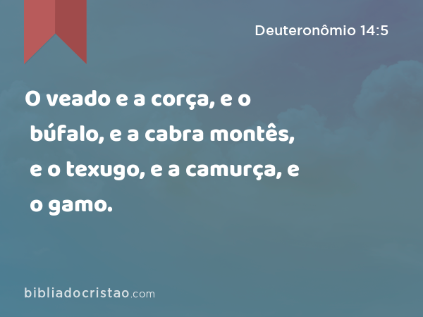 O veado e a corça, e o búfalo, e a cabra montês, e o texugo, e a camurça, e o gamo. - Deuteronômio 14:5