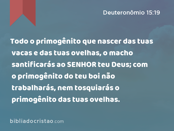 Todo o primogênito que nascer das tuas vacas e das tuas ovelhas, o macho santificarás ao SENHOR teu Deus; com o primogênito do teu boi não trabalharás, nem tosquiarás o primogênito das tuas ovelhas. - Deuteronômio 15:19