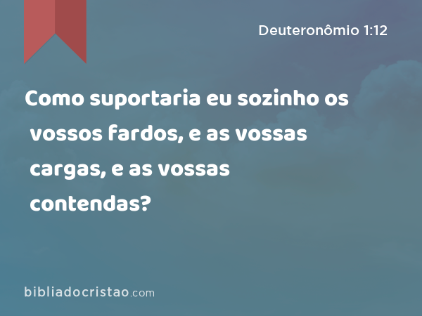 Como suportaria eu sozinho os vossos fardos, e as vossas cargas, e as vossas contendas? - Deuteronômio 1:12