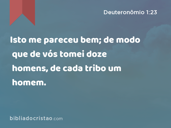 Isto me pareceu bem; de modo que de vós tomei doze homens, de cada tribo um homem. - Deuteronômio 1:23