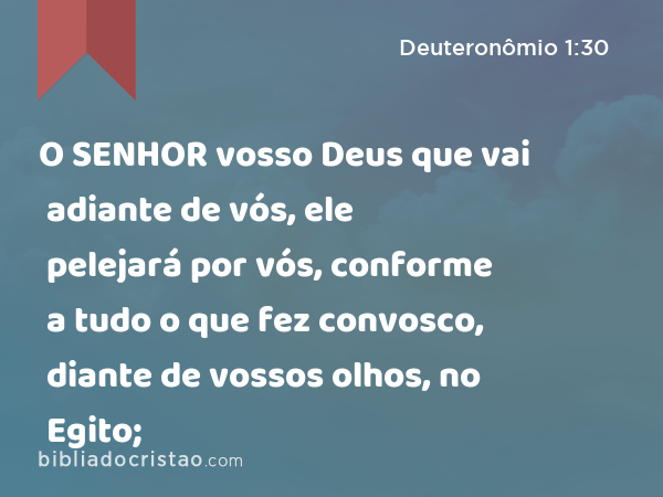 O SENHOR vosso Deus que vai adiante de vós, ele pelejará por vós, conforme a tudo o que fez convosco, diante de vossos olhos, no Egito; - Deuteronômio 1:30