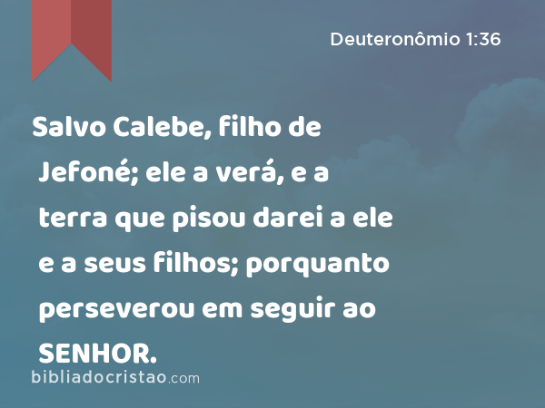 Salvo Calebe, filho de Jefoné; ele a verá, e a terra que pisou darei a ele e a seus filhos; porquanto perseverou em seguir ao SENHOR. - Deuteronômio 1:36