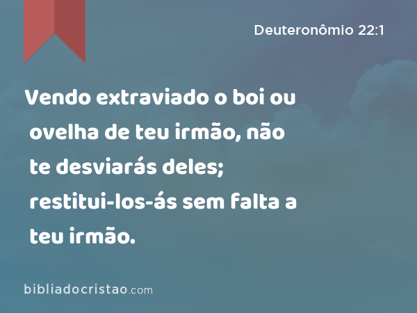 Vendo extraviado o boi ou ovelha de teu irmão, não te desviarás deles; restitui-los-ás sem falta a teu irmão. - Deuteronômio 22:1