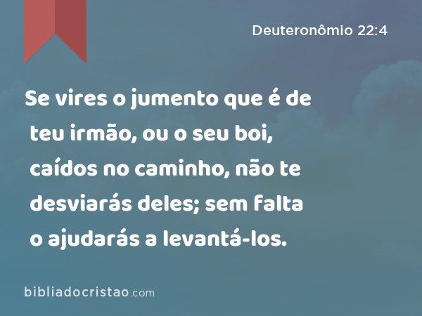 Se vires o jumento que é de teu irmão, ou o seu boi, caídos no caminho, não te desviarás deles; sem falta o ajudarás a levantá-los. - Deuteronômio 22:4