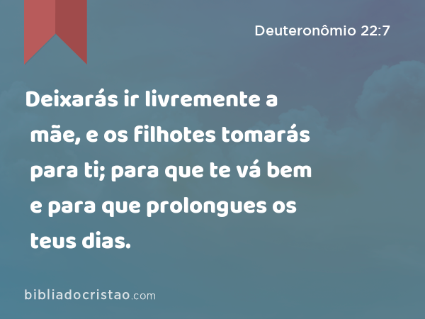 Deixarás ir livremente a mãe, e os filhotes tomarás para ti; para que te vá bem e para que prolongues os teus dias. - Deuteronômio 22:7