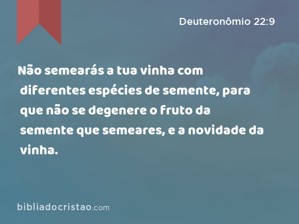 Não semearás a tua vinha com diferentes espécies de semente, para que não se degenere o fruto da semente que semeares, e a novidade da vinha. - Deuteronômio 22:9