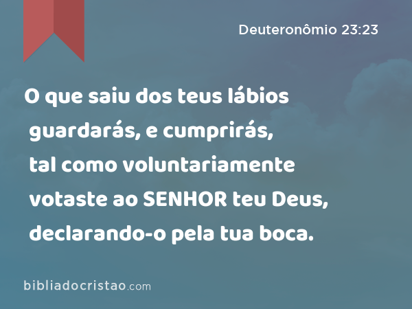 O que saiu dos teus lábios guardarás, e cumprirás, tal como voluntariamente votaste ao SENHOR teu Deus, declarando-o pela tua boca. - Deuteronômio 23:23