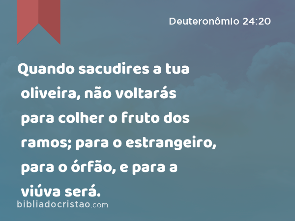 Quando sacudires a tua oliveira, não voltarás para colher o fruto dos ramos; para o estrangeiro, para o órfão, e para a viúva será. - Deuteronômio 24:20