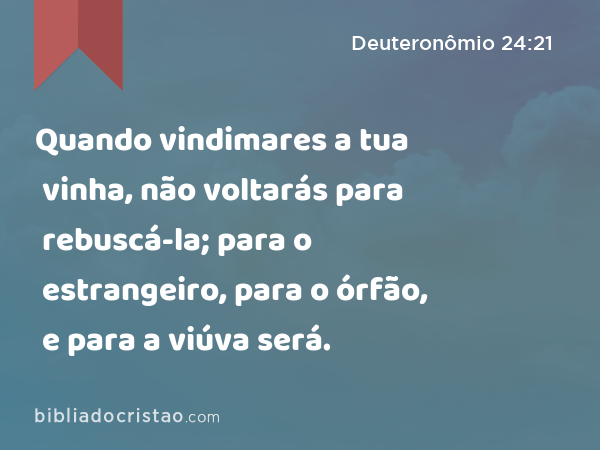 Quando vindimares a tua vinha, não voltarás para rebuscá-la; para o estrangeiro, para o órfão, e para a viúva será. - Deuteronômio 24:21