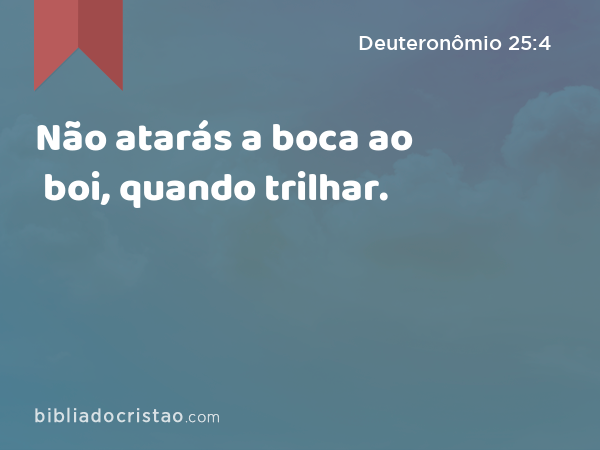 Não atarás a boca ao boi, quando trilhar. - Deuteronômio 25:4