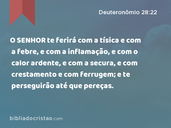 O SENHOR te ferirá com a tísica e com a febre, e com a inflamação, e com o calor ardente, e com a secura, e com crestamento e com ferrugem; e te perseguirão até que pereças. - Deuteronômio 28:22