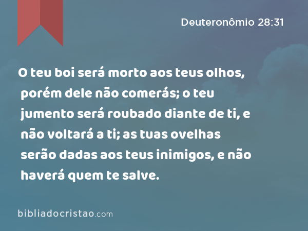 O teu boi será morto aos teus olhos, porém dele não comerás; o teu jumento será roubado diante de ti, e não voltará a ti; as tuas ovelhas serão dadas aos teus inimigos, e não haverá quem te salve. - Deuteronômio 28:31