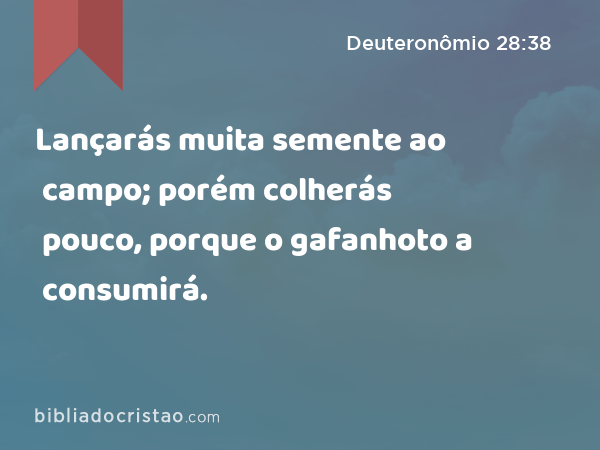 Lançarás muita semente ao campo; porém colherás pouco, porque o gafanhoto a consumirá. - Deuteronômio 28:38