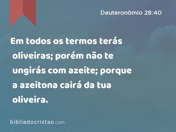 Em todos os termos terás oliveiras; porém não te ungirás com azeite; porque a azeitona cairá da tua oliveira. - Deuteronômio 28:40