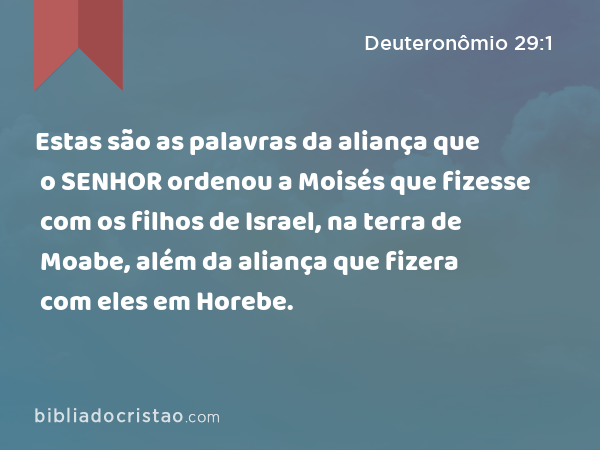 Estas são as palavras da aliança que o SENHOR ordenou a Moisés que fizesse com os filhos de Israel, na terra de Moabe, além da aliança que fizera com eles em Horebe. - Deuteronômio 29:1