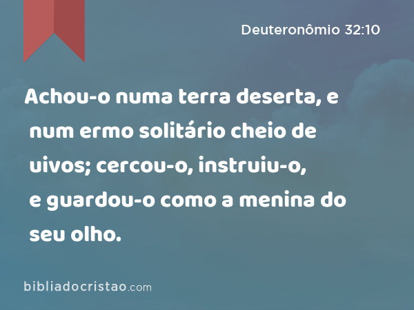 Achou-o numa terra deserta, e num ermo solitário cheio de uivos; cercou-o, instruiu-o, e guardou-o como a menina do seu olho. - Deuteronômio 32:10