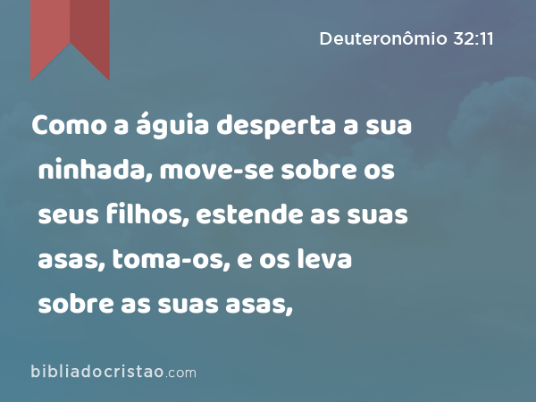 Como a águia desperta a sua ninhada, move-se sobre os seus filhos, estende as suas asas, toma-os, e os leva sobre as suas asas, - Deuteronômio 32:11