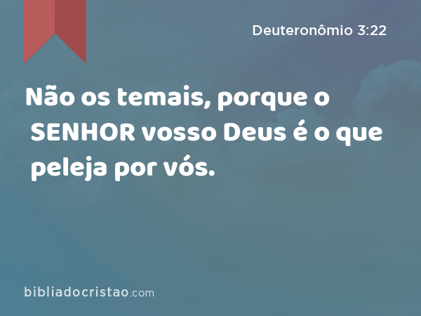 Não os temais, porque o SENHOR vosso Deus é o que peleja por vós. - Deuteronômio 3:22