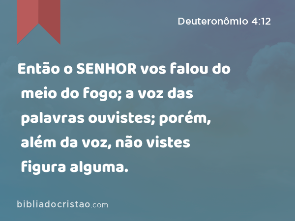 Então o SENHOR vos falou do meio do fogo; a voz das palavras ouvistes; porém, além da voz, não vistes figura alguma. - Deuteronômio 4:12